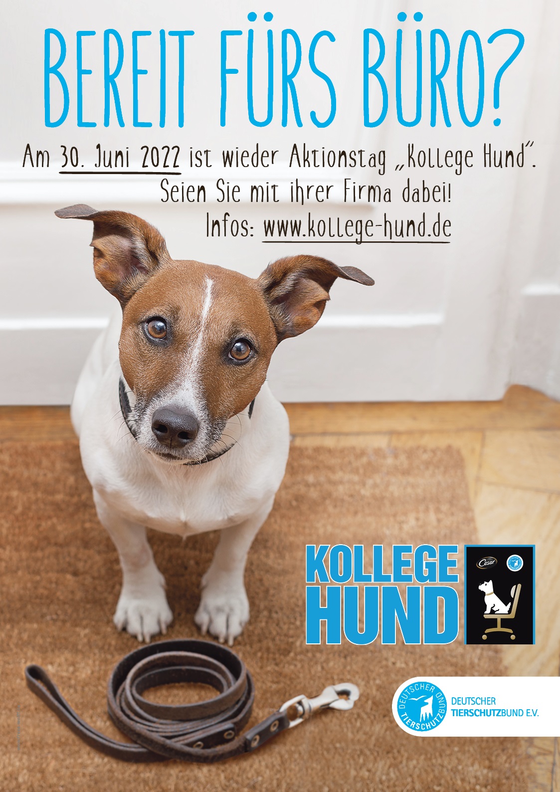 Aktionstag Kollege Hund