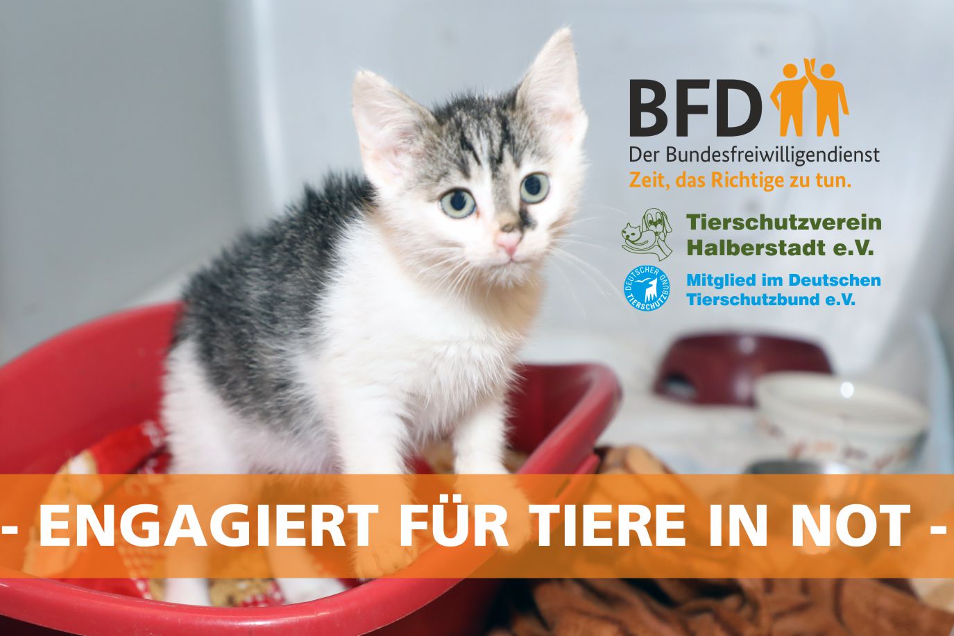 Engagiert für Tiere in Not