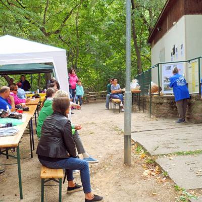 497bf5898616c840eab994f5273d61bd