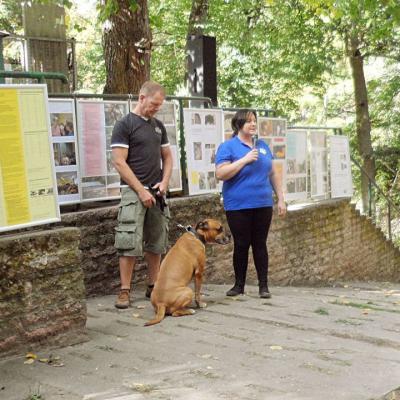 A63a6f5a330c6a0cd5f2521aa33d43de