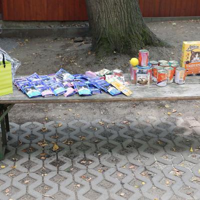 22 2019 041 Kopie Verkleinert