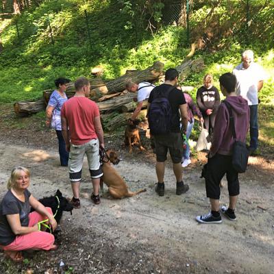 Img 20190602 Wa0002 Fotor