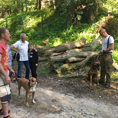 Img 20190602 Wa0007 Fotor