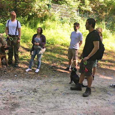 Img 20190602 Wa0008 Fotor