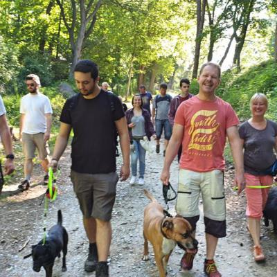 Img 20190602 Wa0020 Fotor