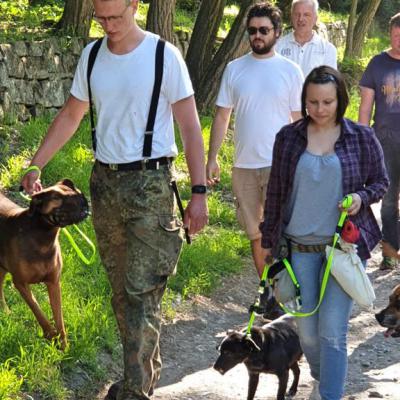 Img 20190602 Wa0021 Fotor