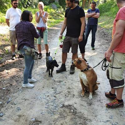 Img 20190602 Wa0022 Fotor