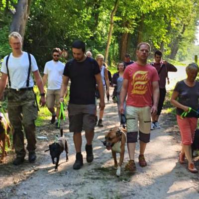 Img 20190602 Wa0023 Fotor