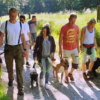 Img 20190602 Wa0029 Fotor