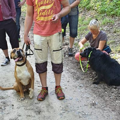 Img 20190602 Wa0032 Fotor