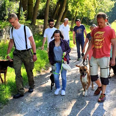 Img 20190602 Wa0034 Fotor