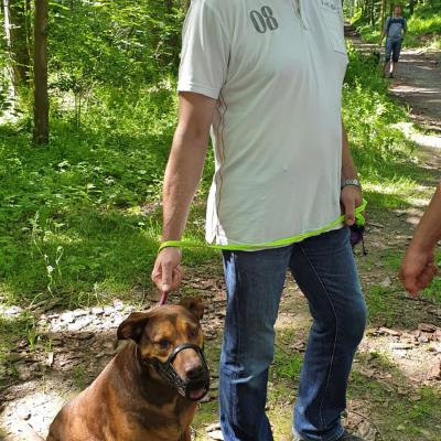 Img 20190602 Wa0035 Fotor