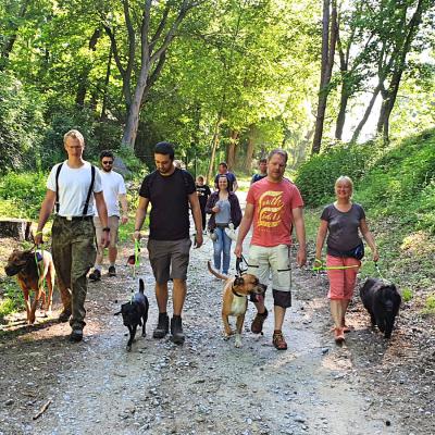 Img 20190602 Wa0037 Fotor