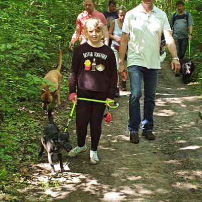 Img 20190602 Wa0038 Fotor