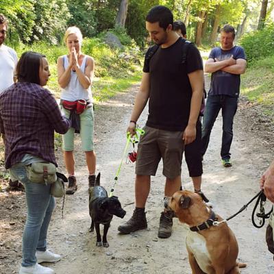 Img 20190602 Wa0039 Fotor