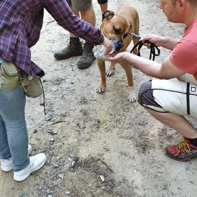 Img 20190602 Wa0041 Fotor