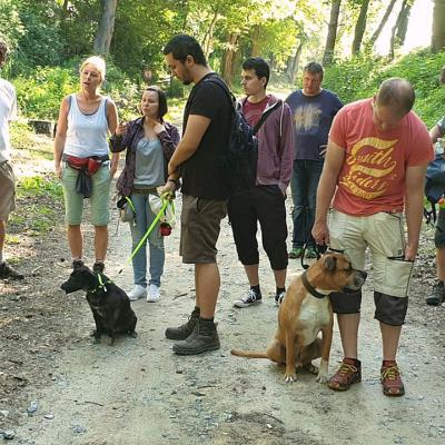 Img 20190602 Wa0046 Fotor